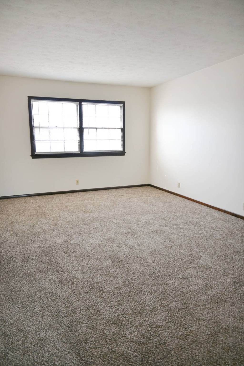 A room with a carpeted floor and a window.