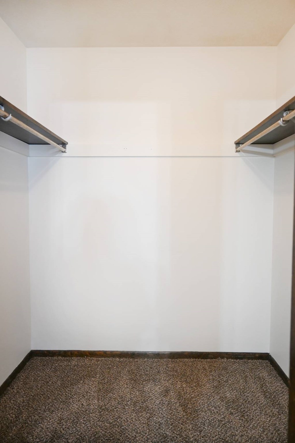 A small room with a carpeted floor and two metal shelves.