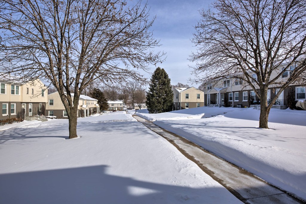 A snowy street with houses on either side and bare trees.