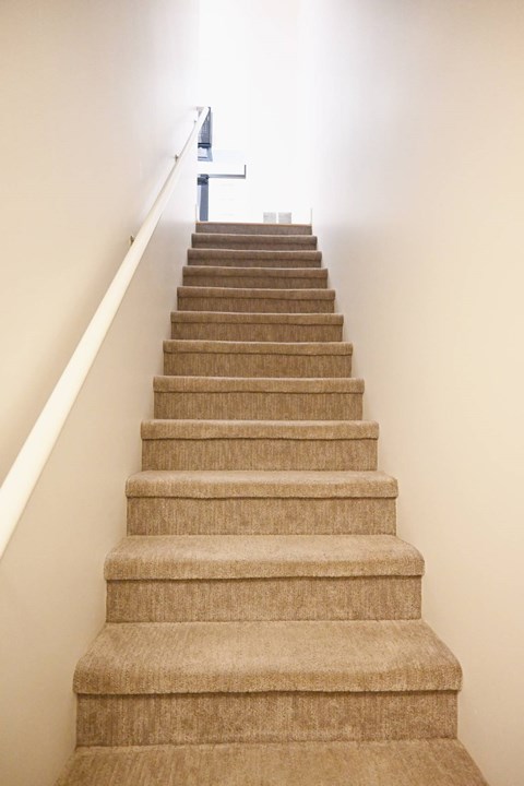 A staircase with beige carpeted steps and white walls.