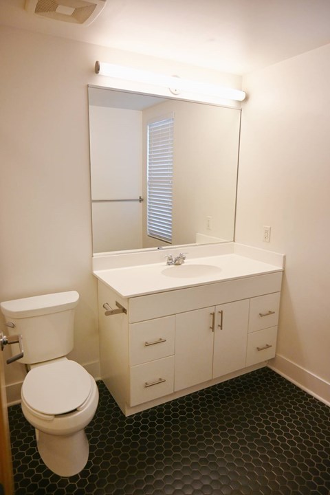 A white toilet sits next to a sink in a bathroom.