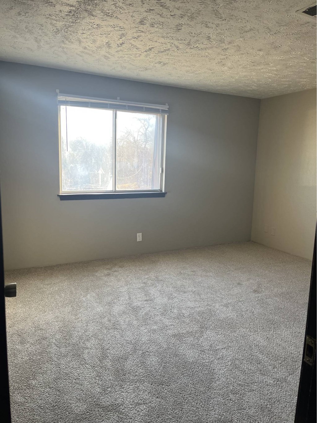 A room with a carpeted floor and a window.