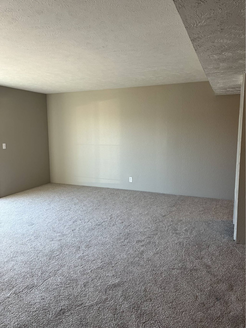 A room with a carpeted floor and a light switch on the wall.