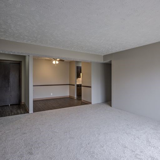 A room with a carpeted floor and a ceiling fan.
