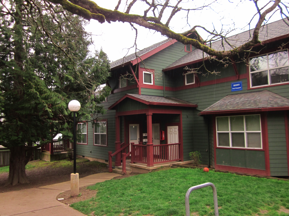 A green house with a porch and a tree in front.