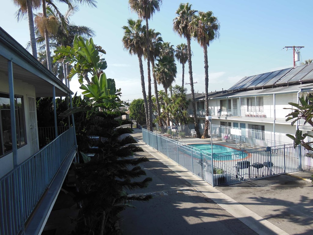 A pool surrounded by a fence and palm trees.