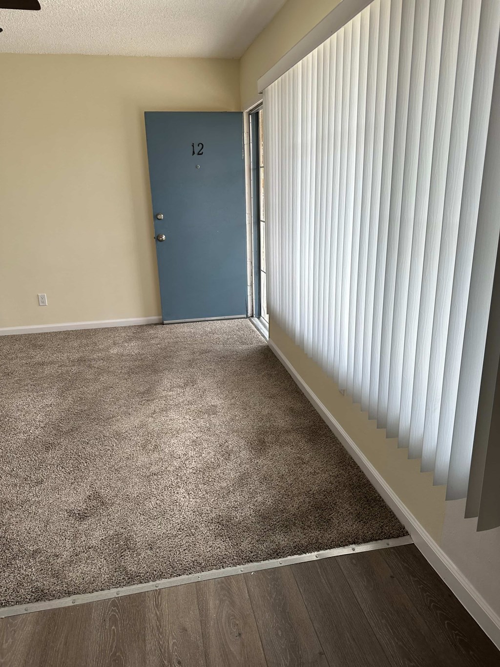 A room with a blue door and a carpeted floor.