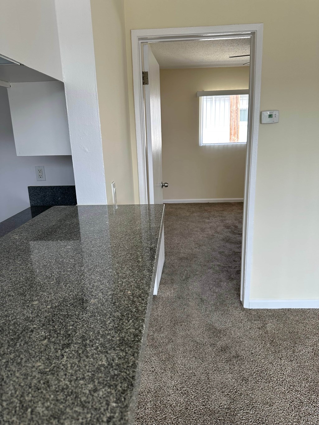 A hallway with a carpeted floor and a white door.