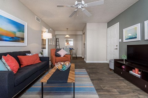 A living room with a grey couch and a striped rug.