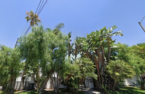A row of palm trees in front of a house.