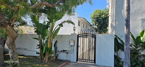 A white house with a black gate and a tree in front.