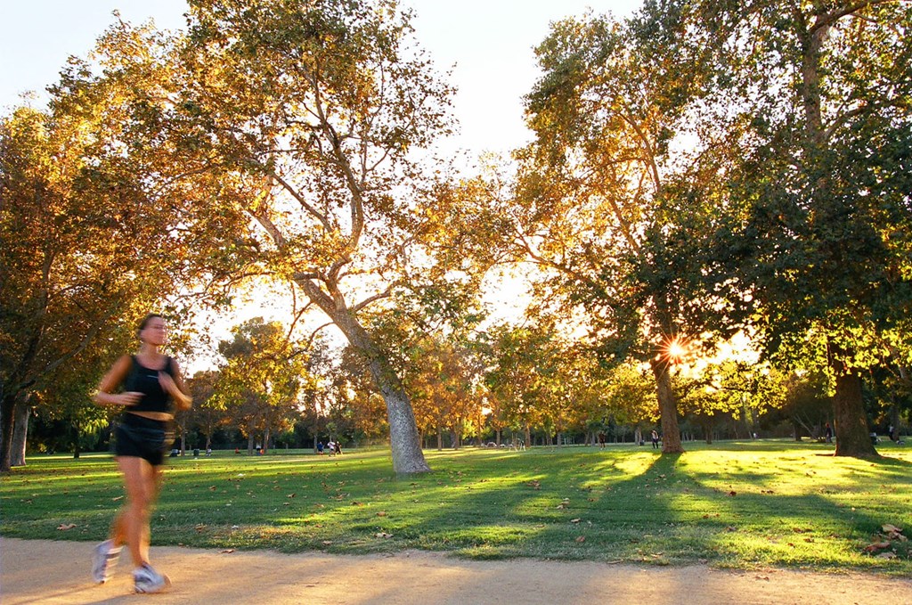 A woman jogging in a park with trees and grass.
