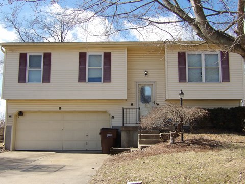 A two-story house with a garage and a tree in front.