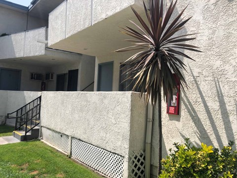 A building with a white wall and a plant in front.