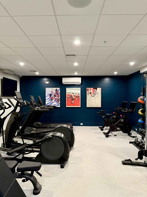 A gym with exercise equipment and artwork on the wall.