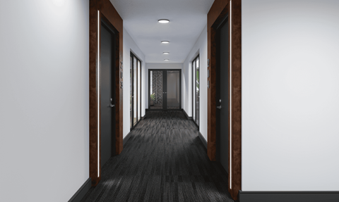 A long hallway with doors on both sides and a carpeted floor.