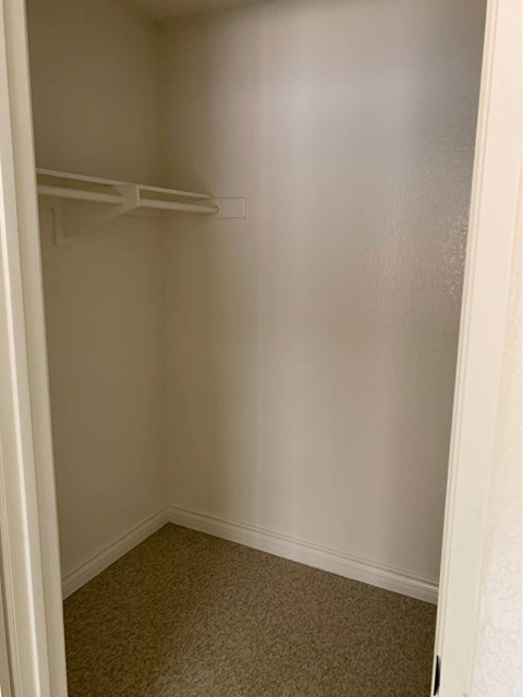 Empty white closet with carpeted floor.