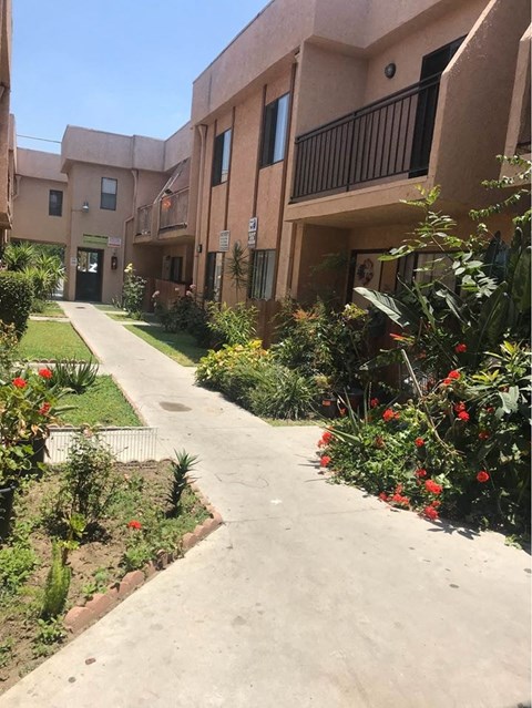 A pathway leads to a building with a balcony.