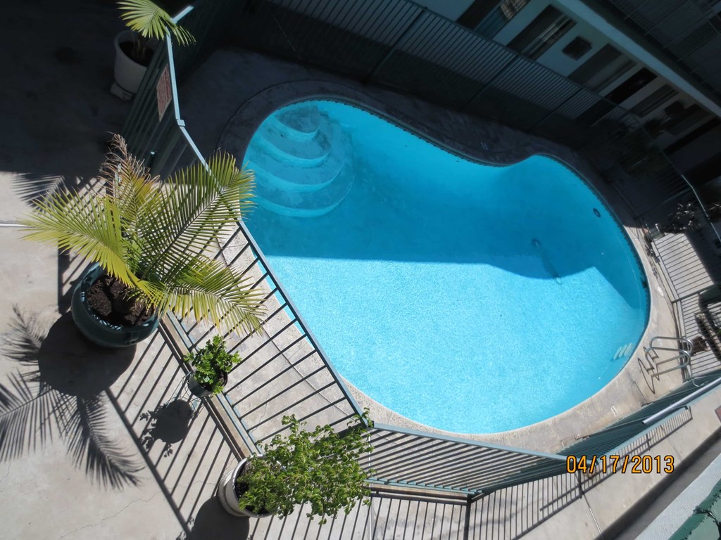 A swimming pool surrounded by palm trees and plants.