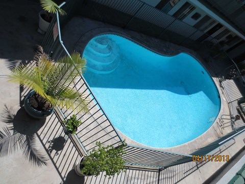 A swimming pool surrounded by palm trees and plants.