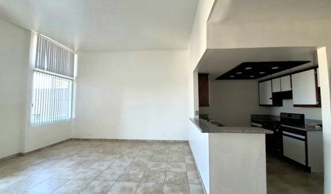 A kitchen with a counter and a window.