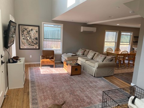 A dog is sitting on a rug in a living room with a couch, chairs, and a television.