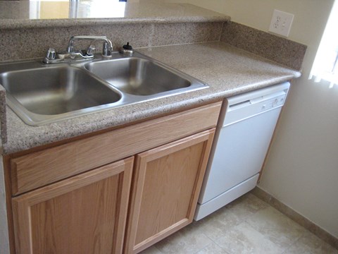 A kitchen with a sink and a dishwasher.