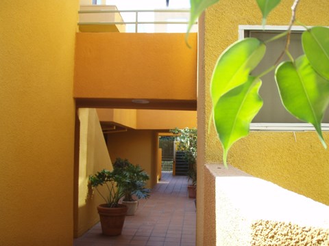 A yellow building with a plant in a pot.