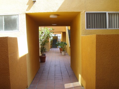 A long hallway with potted plants on either side.