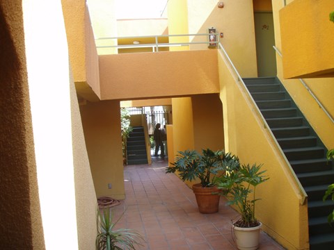 A hallway with a staircase and potted plants.