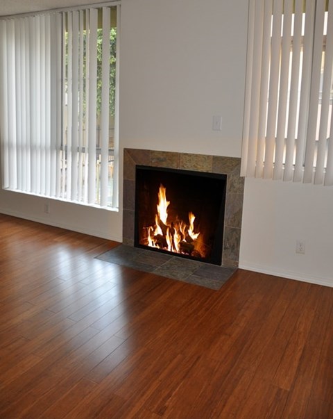 A fireplace with a fire burning in it.