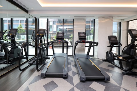 A gym with treadmills and elliptical machines.