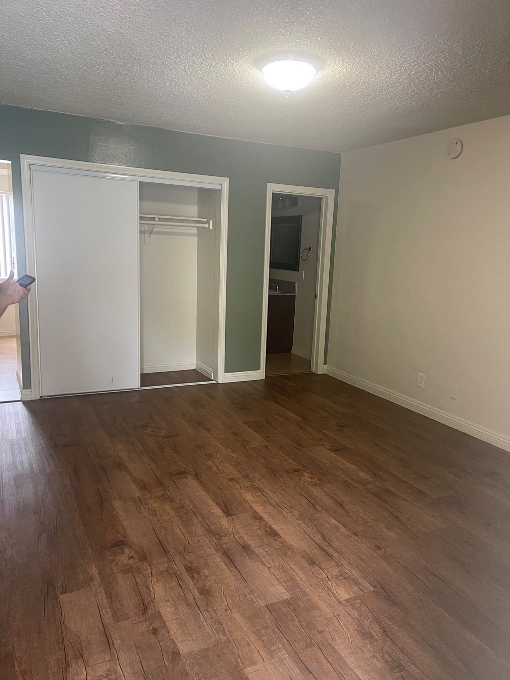 A room with wood flooring and a white door.
