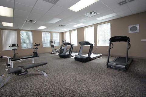 A gym with treadmills, elliptical machines, and other cardio equipment.
