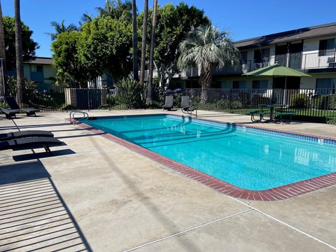 A swimming pool surrounded by palm trees and apartment buildings.