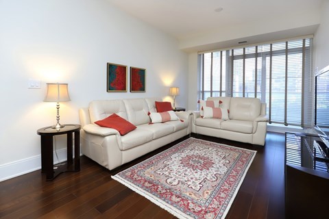 A living room with two couches and a rug.