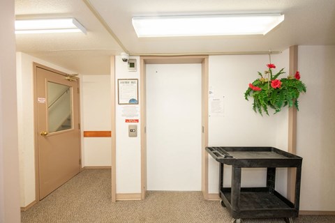 A room with a brown door, a white door, a table, and a plant.