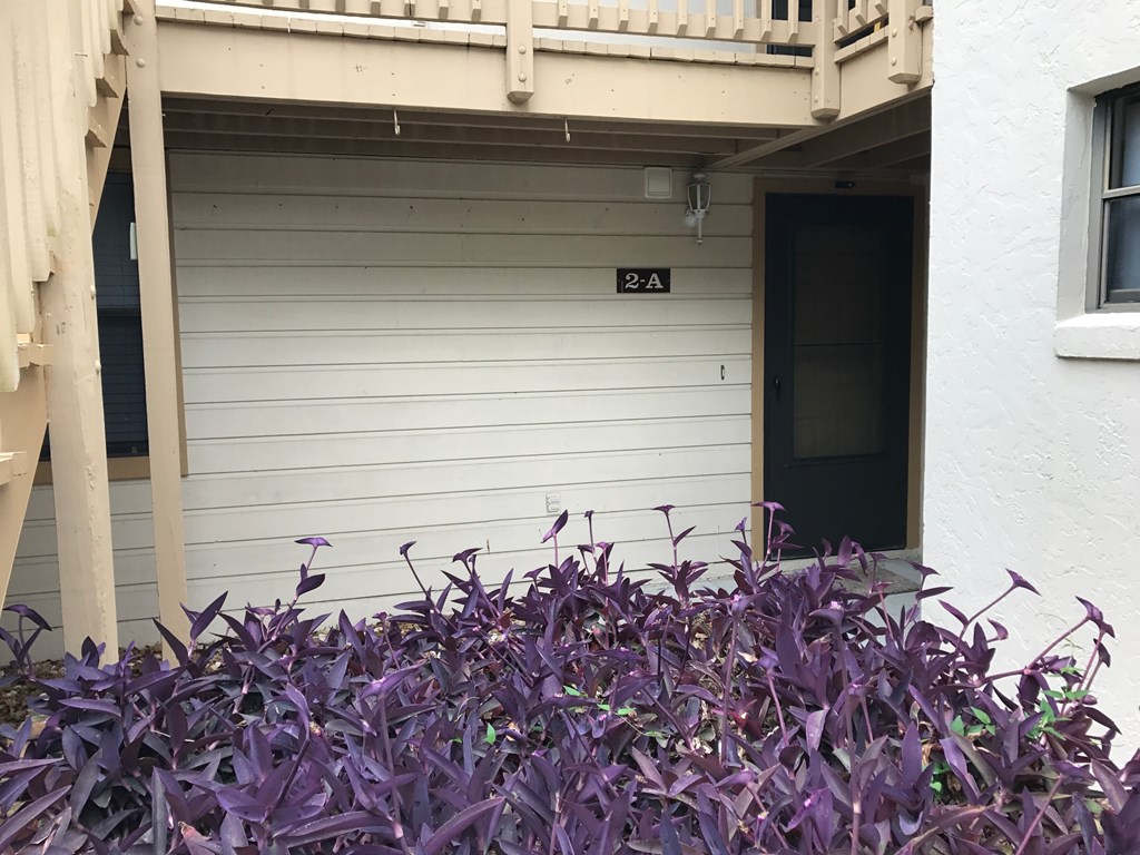 Purple flowers in front of a white building with a door.