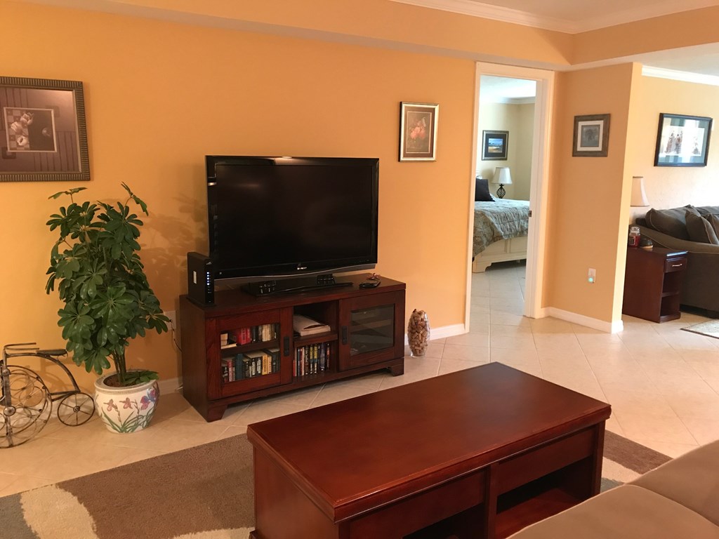 A living room with a television and a potted plant.