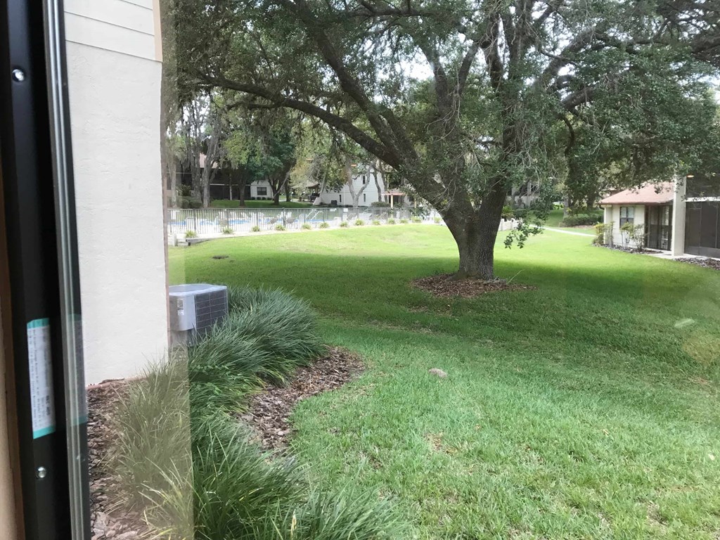 A tree in a grassy area with a house in the background.