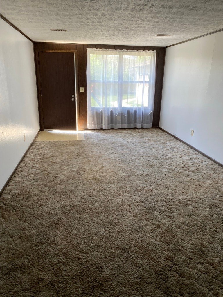 A carpeted room with a door and a window with curtains.