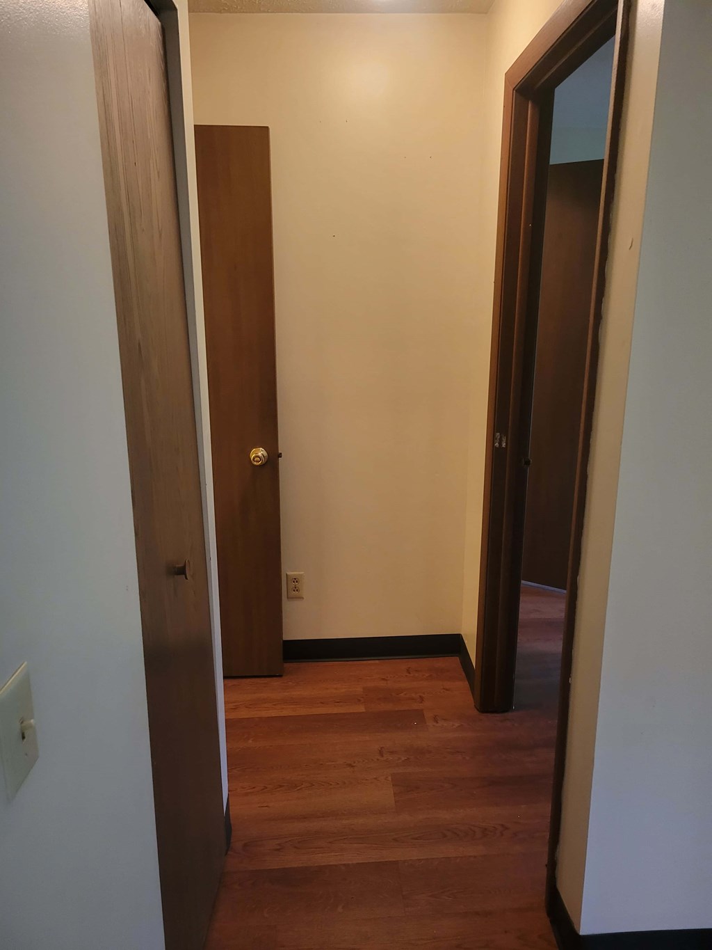 A hallway with a brown door and a light switch on the wall.