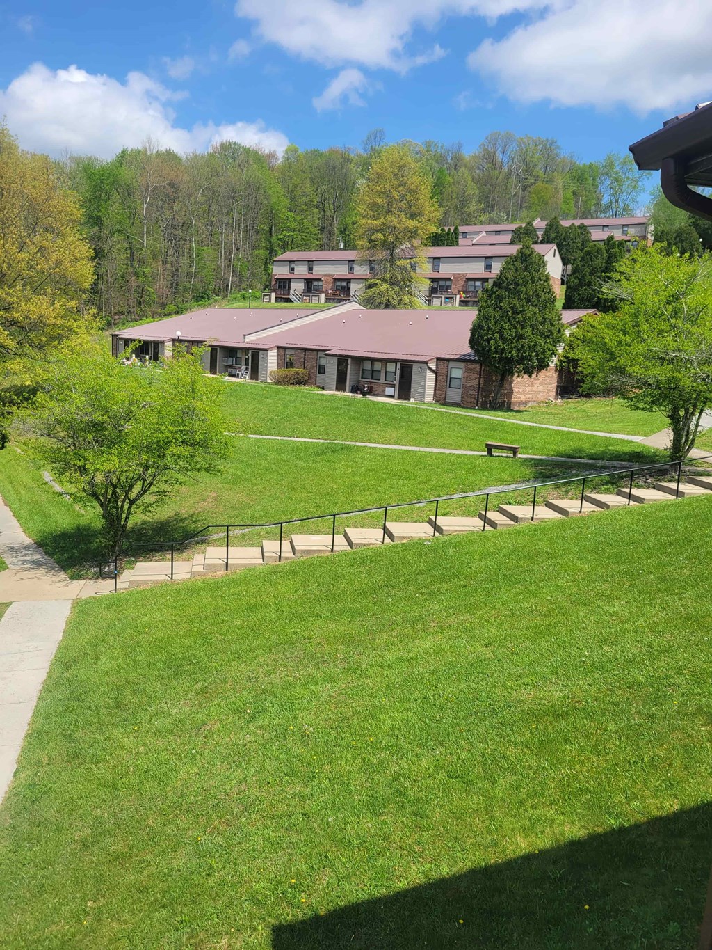A green lawn in front of a building.