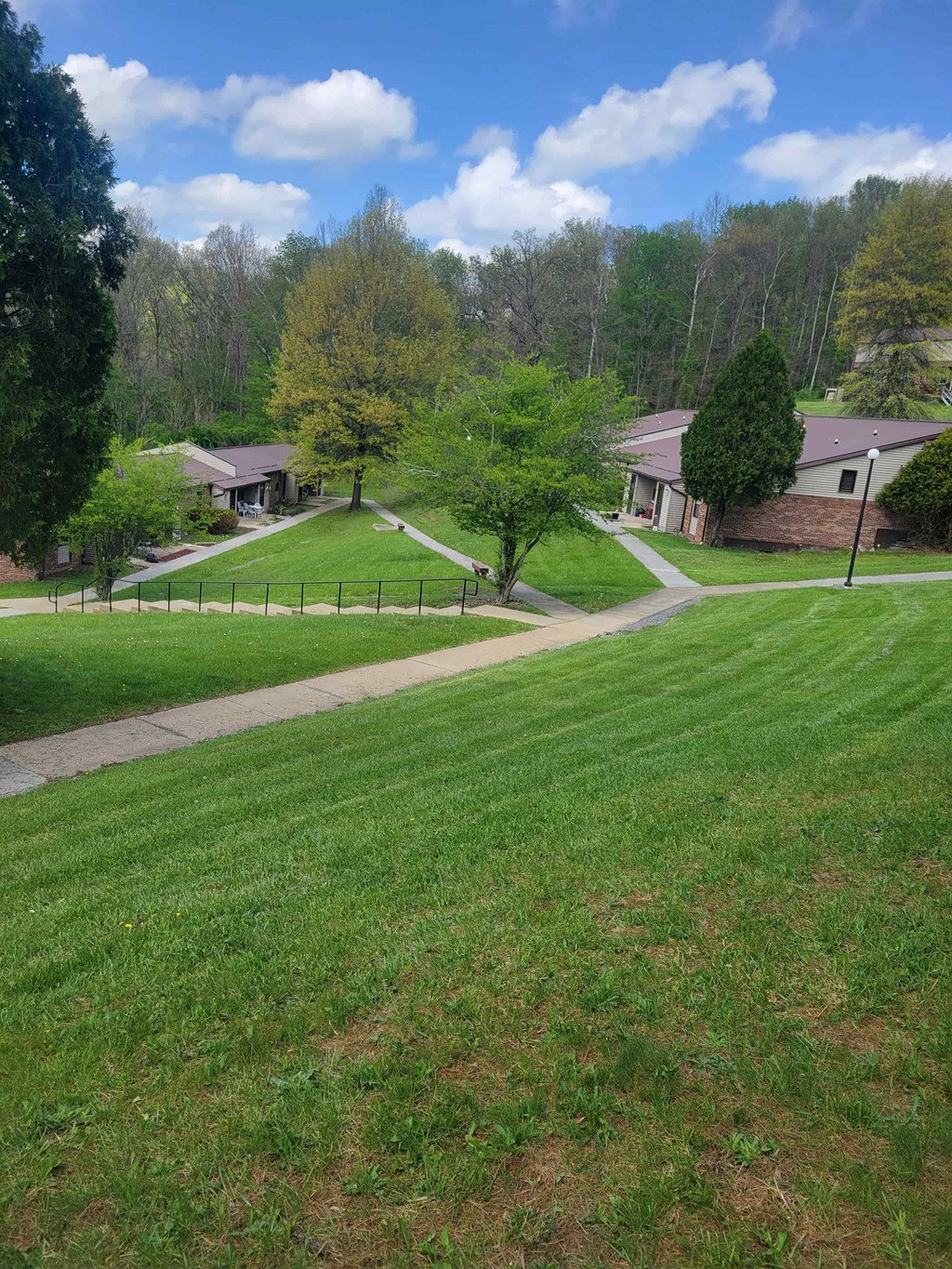 A grassy field with a few trees and a building in the background.