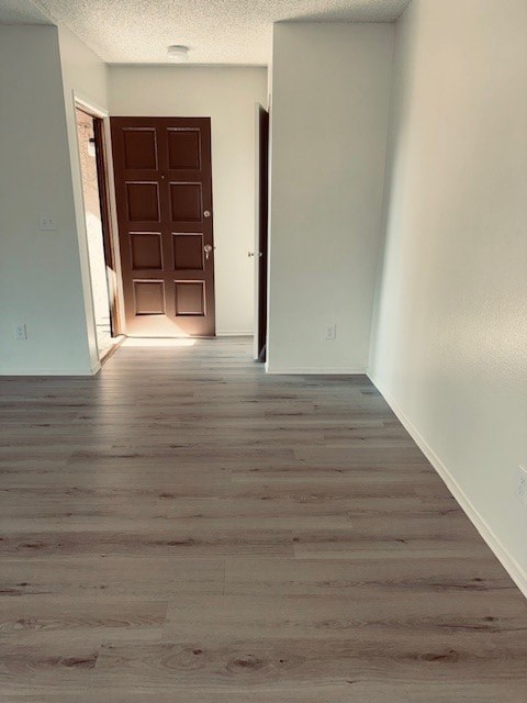 A room with a wooden floor and a brown door.
