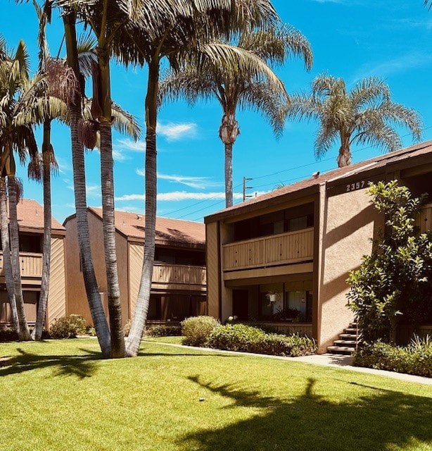 Palm trees in front of a building with a clear blue sky.