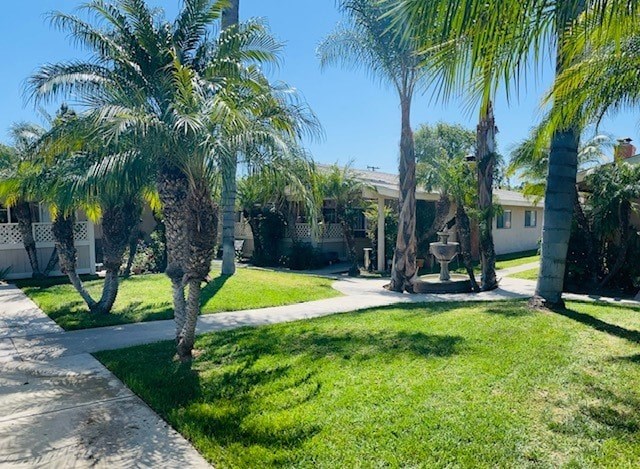 A sunny day at a residential area with palm trees and a clear blue sky.