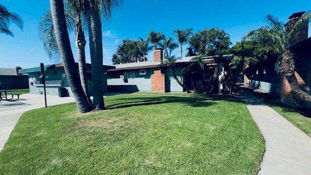 A palm tree stands in front of a building with a green lawn.