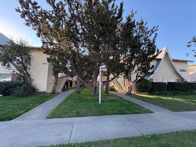 A tree stands in front of a building with the numbers 1910 and 1904 on it.