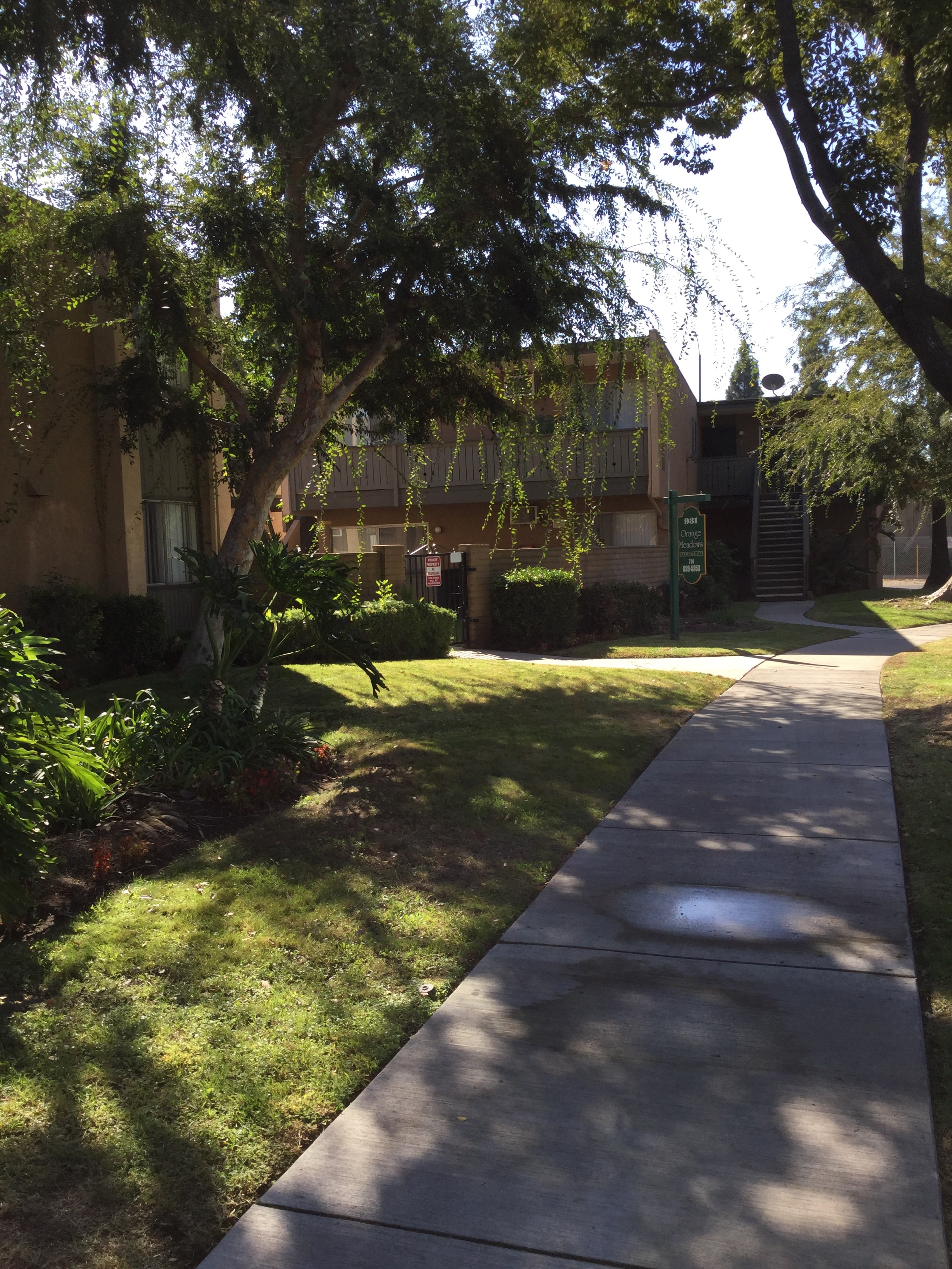 A sidewalk with a green lawn and trees on either side.